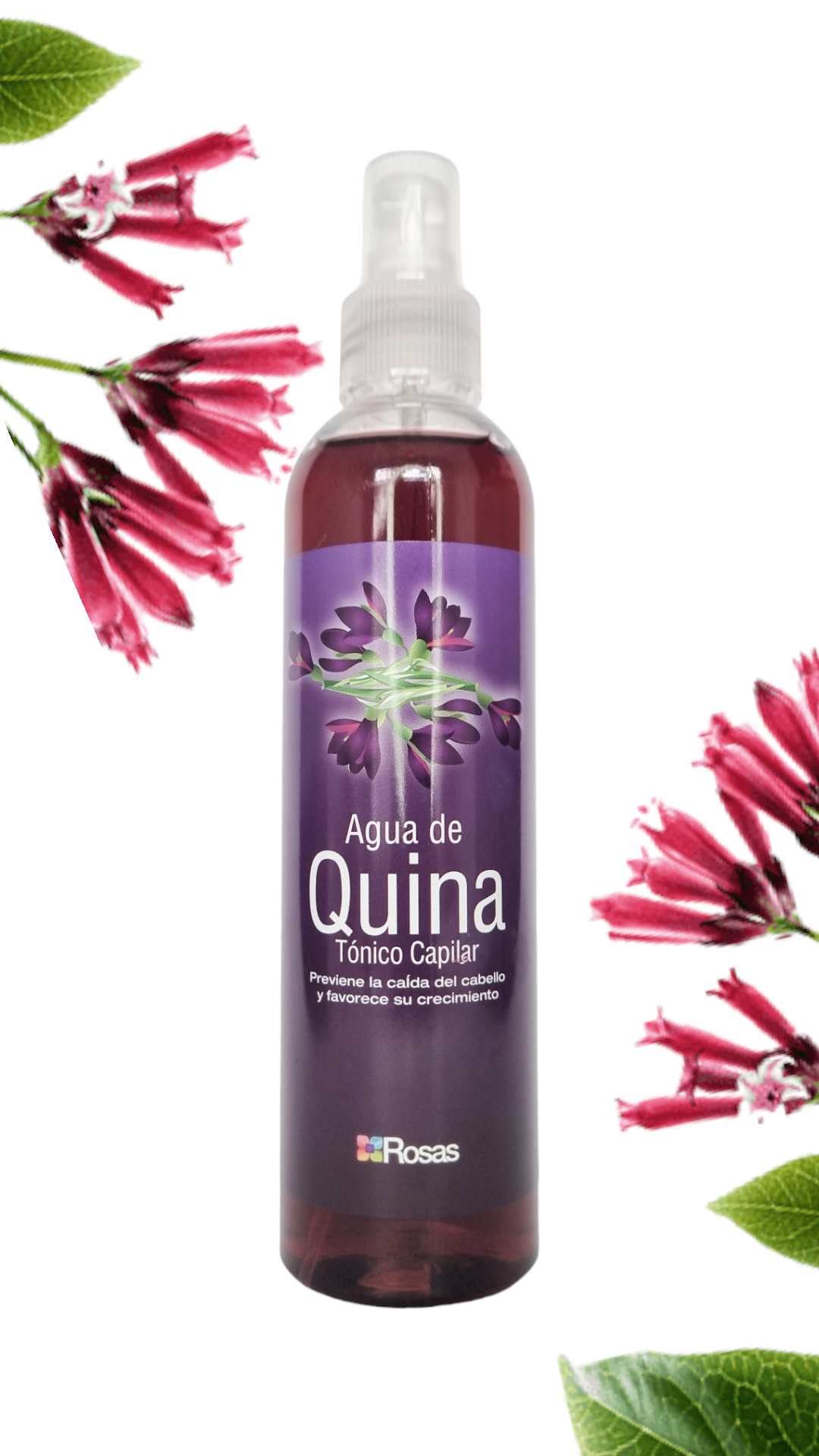 Agua de Quina * 240 mL